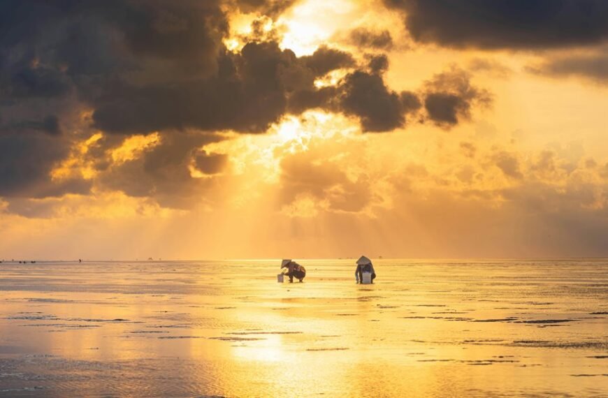 business intelligence executive overview