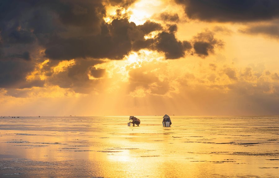 business intelligence executive overview